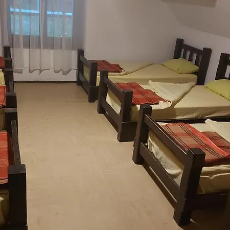 Ticarjev Dom At Vrsic Pass